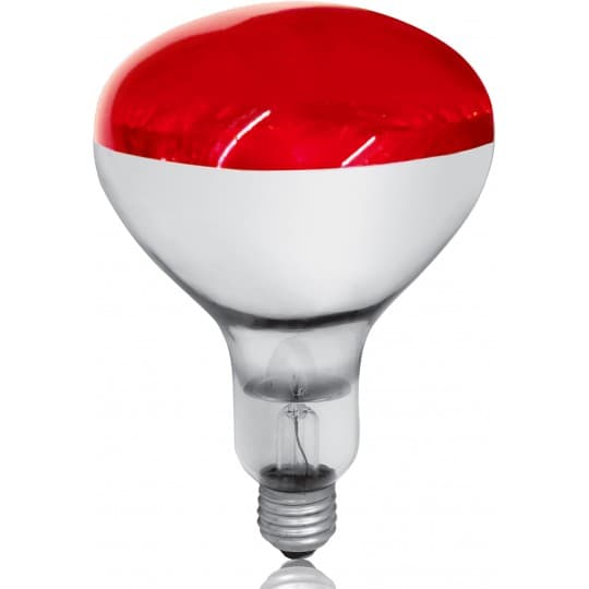 Sijalica Infra-crvena RUBIN sij. 250W 240V E27 Mitea Lighting